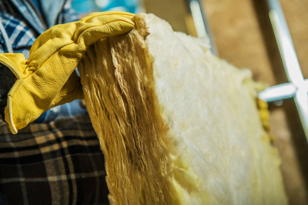 Best Blown-in Insulation  in Luray, VA