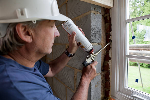 Best Cellulose Insulation  in Luray, VA
